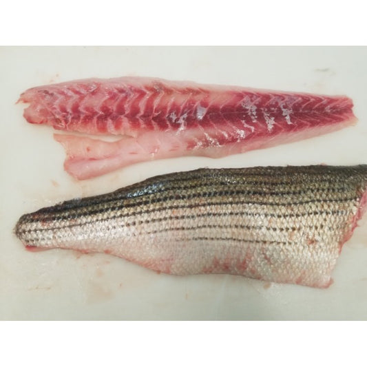 BASS, STRIPED 1-2 LB FILLET BONELESS SKIN-ON RAW REF USA WILD(10lb) case.