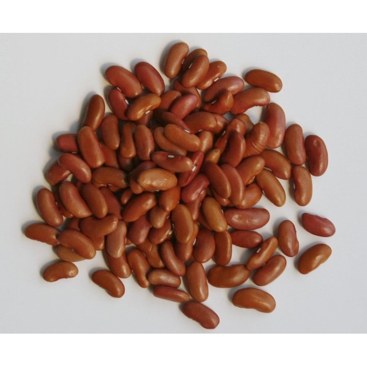 BEAN, KIDNEY LIGHT RED DRIED RAW