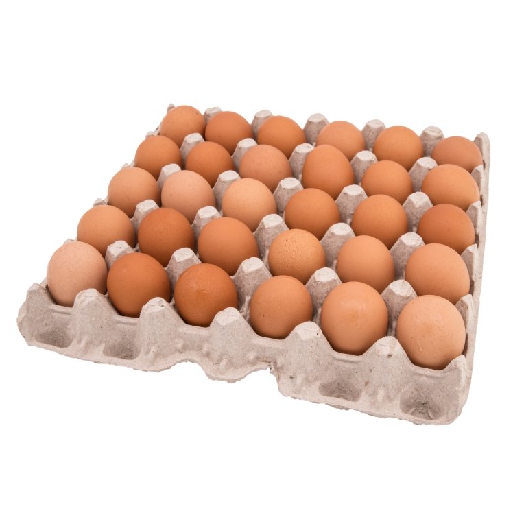 EGG, SHELL LARGE GRADE A BROWN CAGE-FREE LOOSE PACK FRESH (15)dz (22.3)lbs